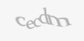 Código de segurança